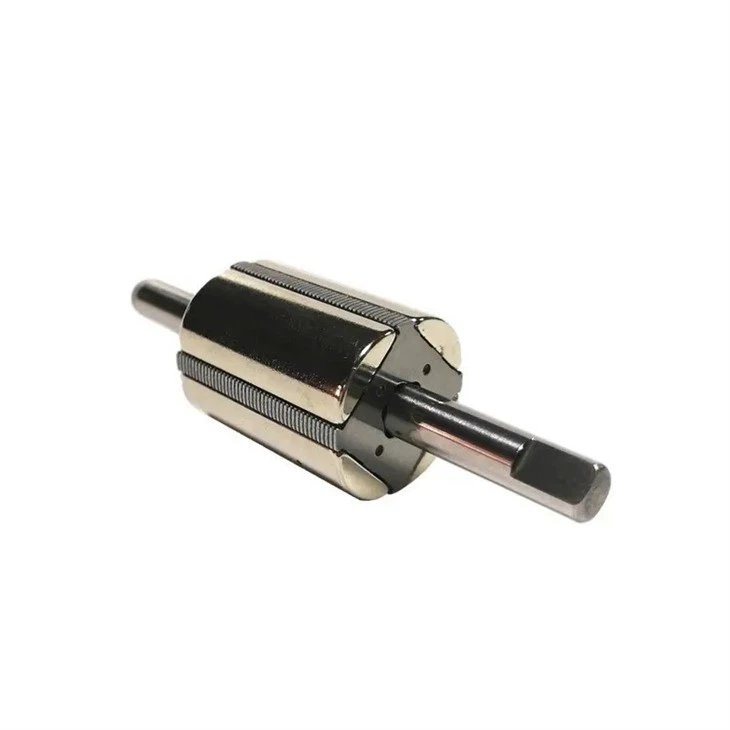Magnetic Stator Assembly